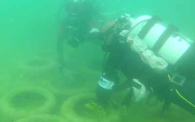 Guardia costiera, recuperate assieme al WWF dal Garda diverse decine di pneumatici