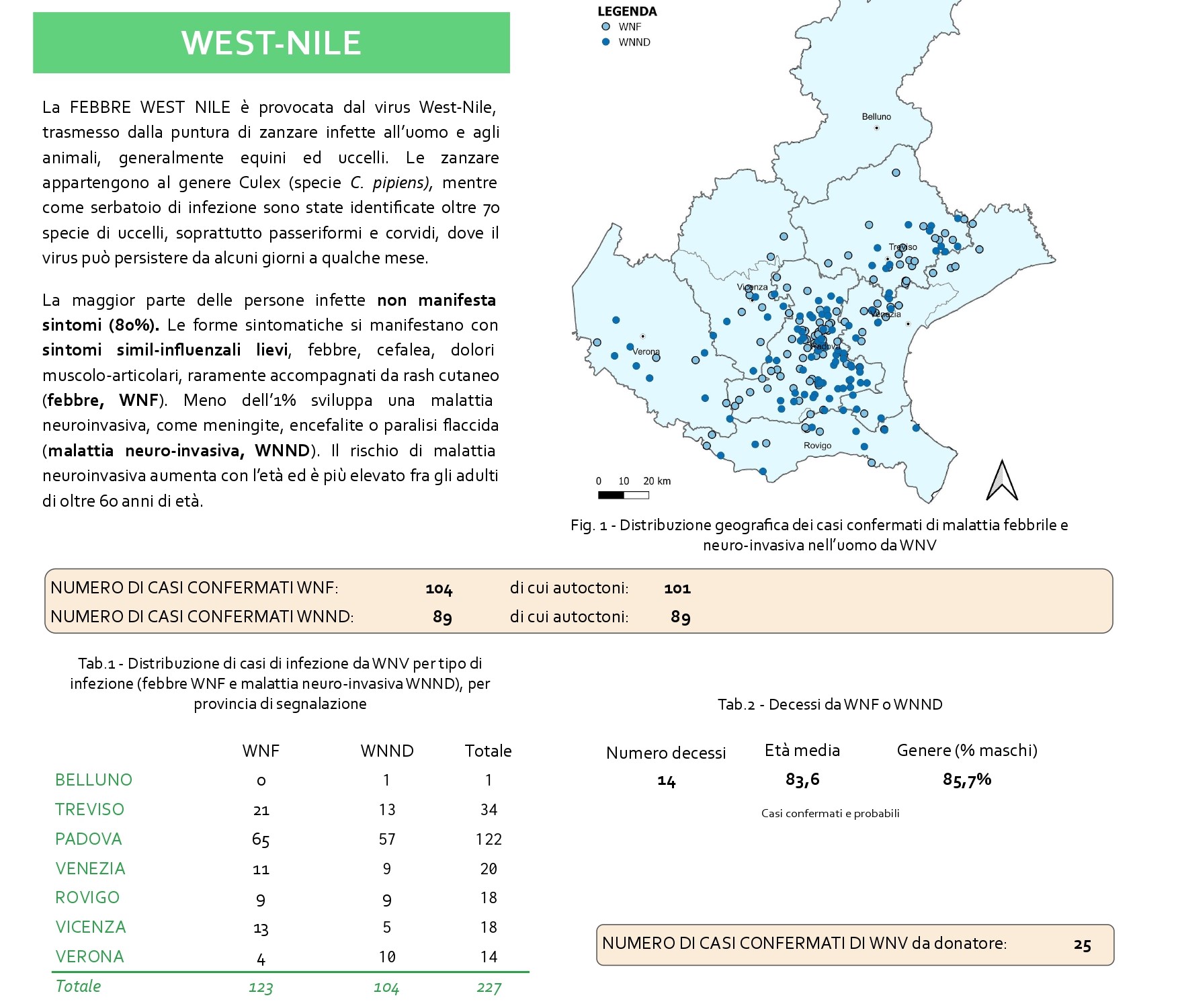 West Nile, sono 227 i casi nel Veneto. Quattordici in provincia di Verona. 14 i decessi