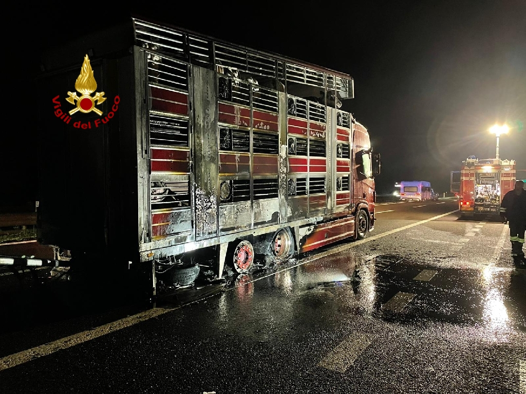 Nogarole Rocca: Tir a fuoco in autostrada, morti 13 bovini