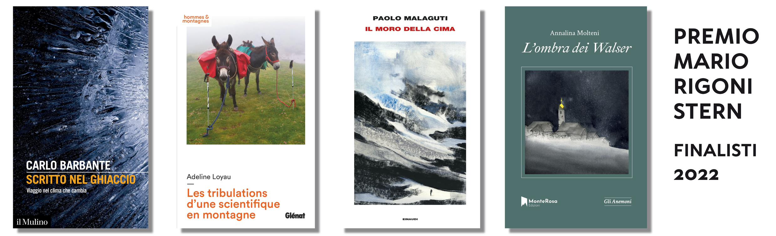 Premio Mario Rigoni Stern: ecco i quattro finalisti  del premio letterario