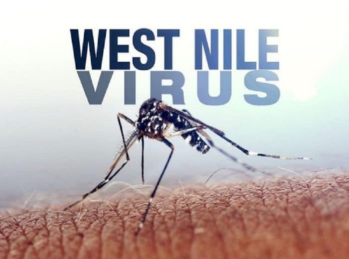 West Nile Virus, primo caso sospetto a Villafranca
