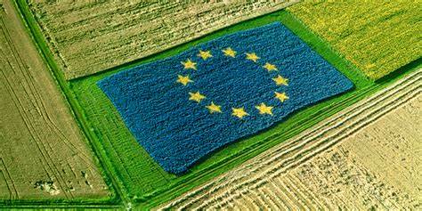 Politiche agricole europee, a Bussolengo sabato il convegno della ConfaVerona