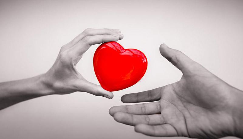 Donazione di organi, nel 2022 il Veneto ha contribuito al 15% dei trapianti d’organo