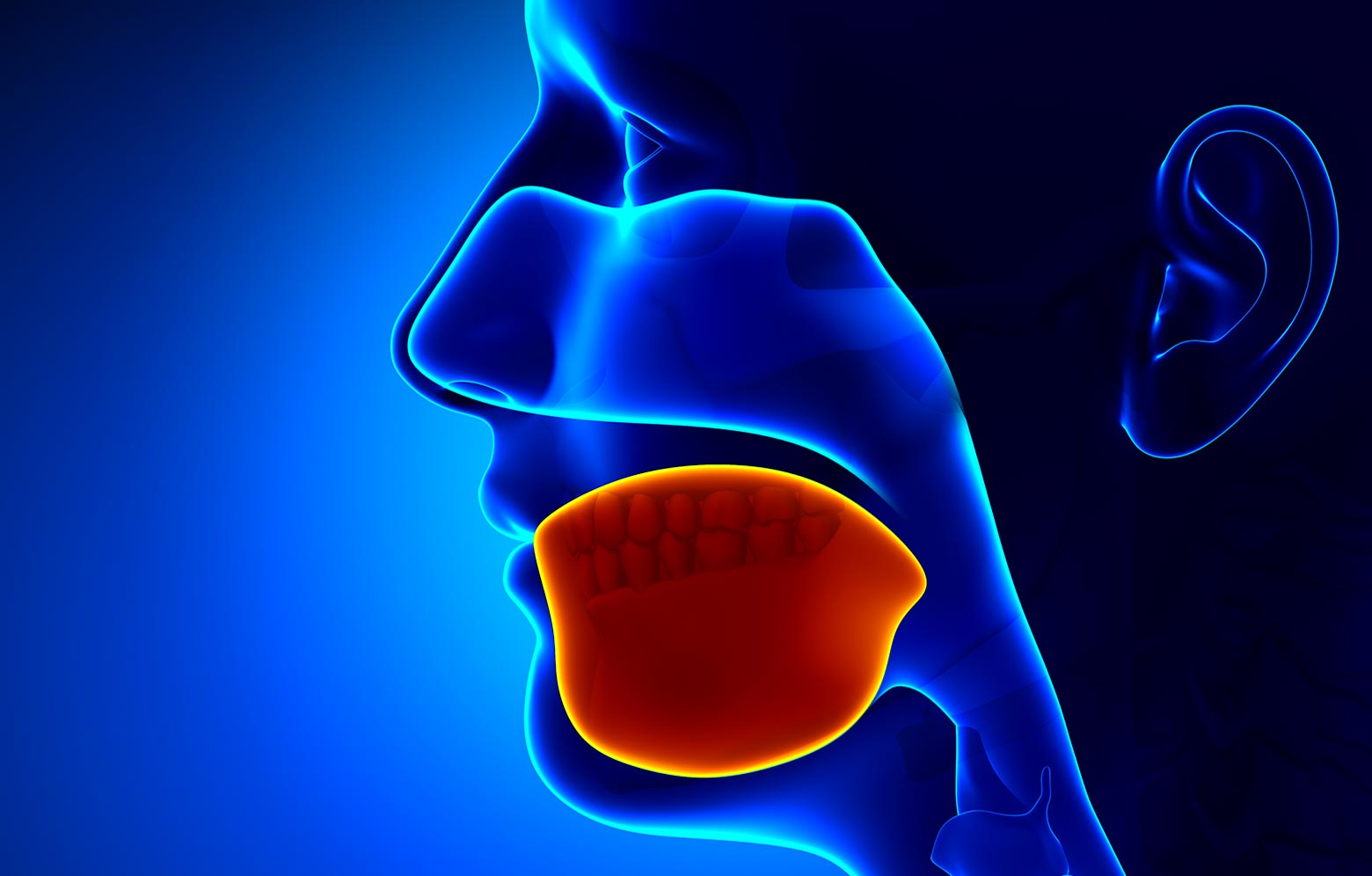 I tumori di bocca e laringe sono il 10% di tutte le neoplasie. Ma c’è poca informazione e prevenzione