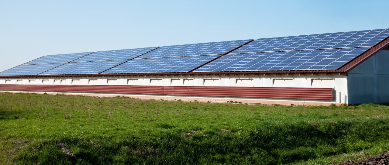 Sona. Bando per i pannelli solari sui fabbricati agricoli