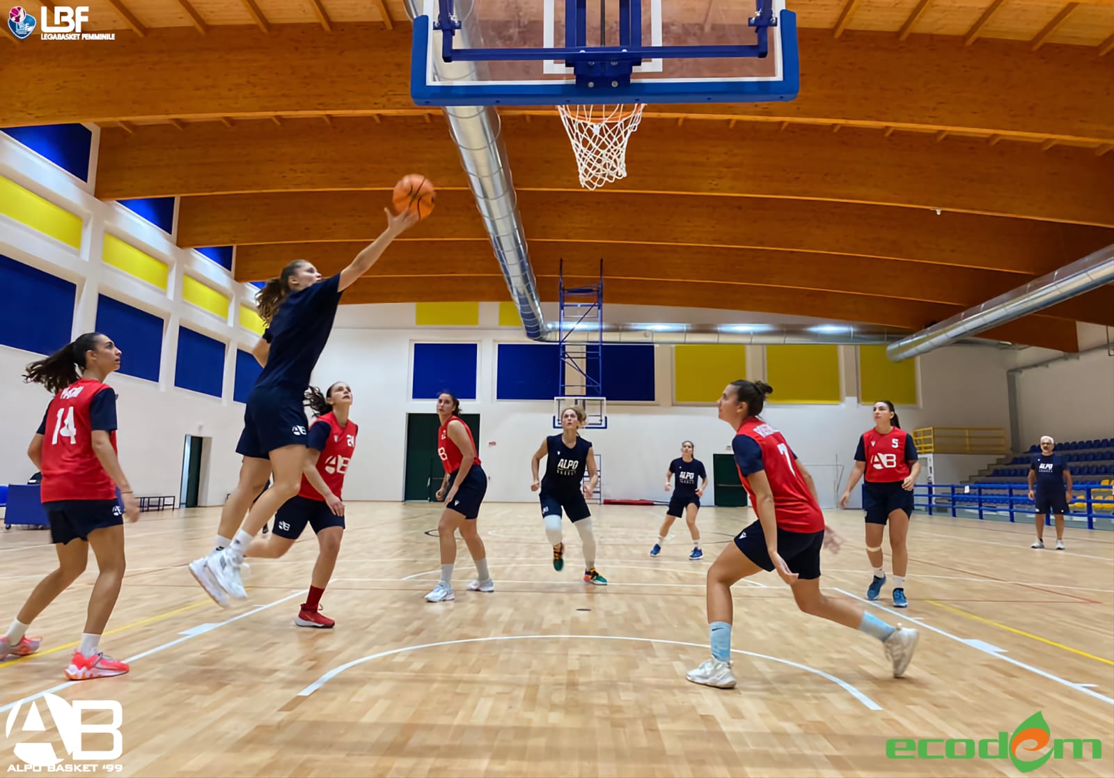 Ecodem Alpo Basket, domani alle 18,00 la prima amichevole della stagione contro Puianello (serie B)