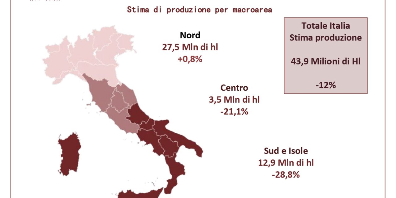 Vendemmia 2023, Assoenologi: produzione italiana in calo del 12%: il peggior raccolto negli ultimi sei anni