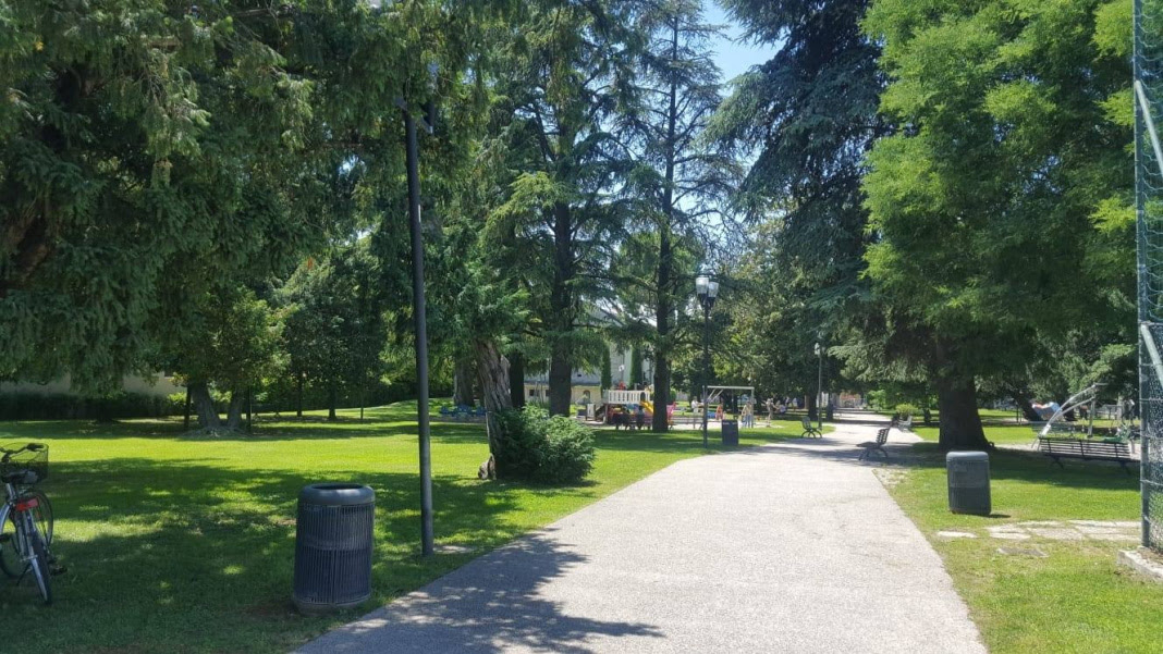 Bardolino, venerdì verrà messo in sicurezza il Parco Bassani: verranno tagliati un cedro e un tasso